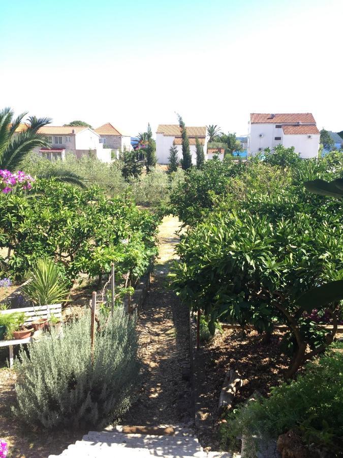 Apartments By The Sea Orebic, Peljesac - 11450 外观 照片